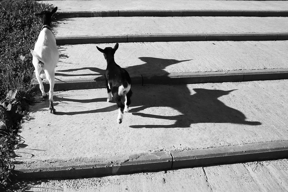 Photograph by Чистякова Валерия