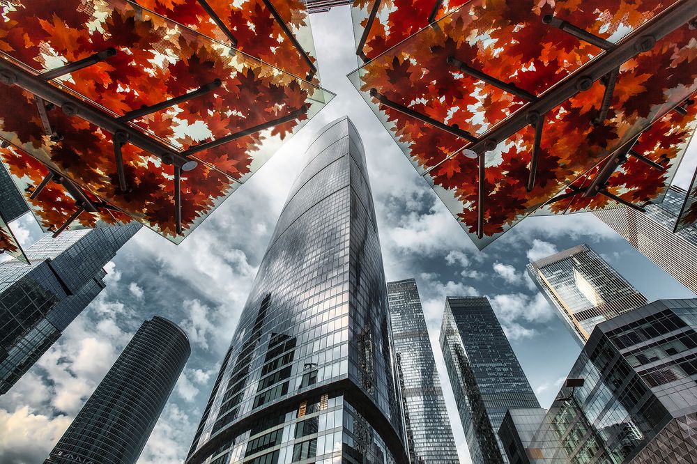 Крылья осени