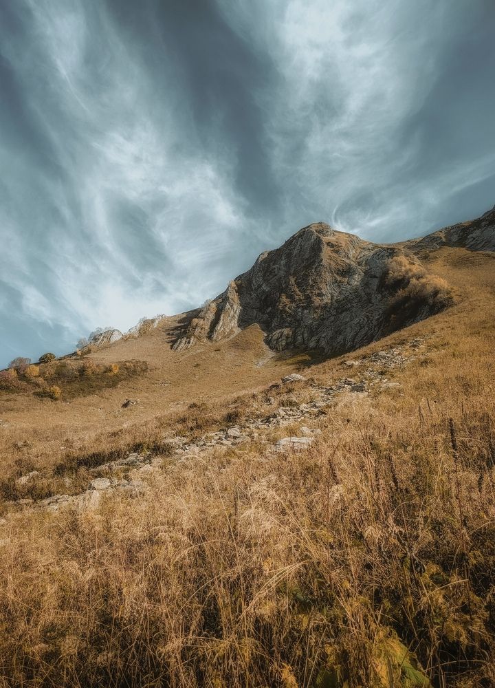 Photograph by Ирина Дерда