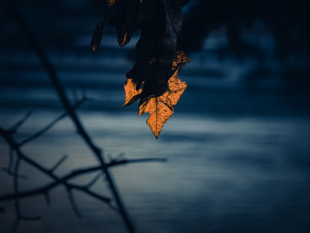 Фотография автора Ahmed Diab