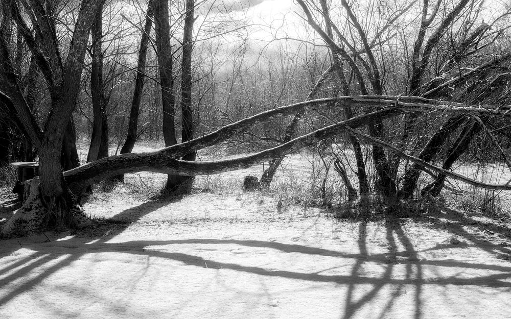 Photograph by Сергей Дишук