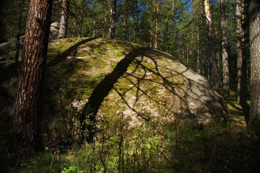 Photograph by Елизавета Корнилова