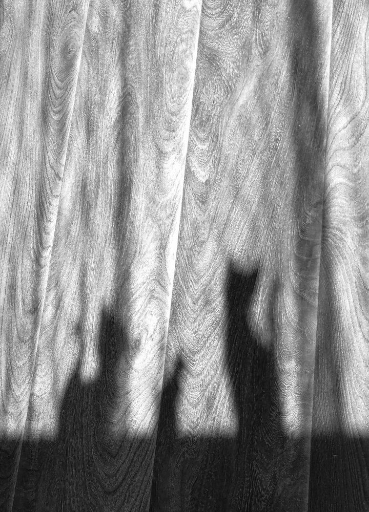 Photograph by Александра Шереметьева