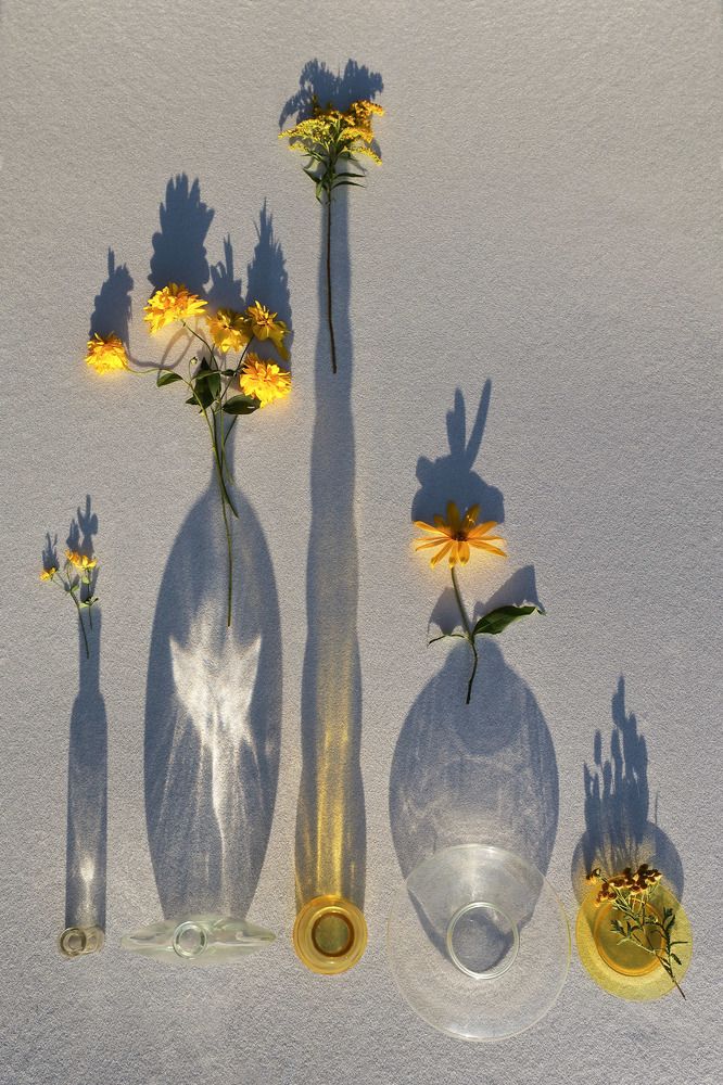 Натюрморт теней