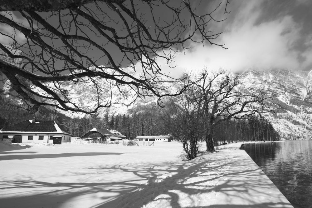 Photograph by Наталья Ростовская