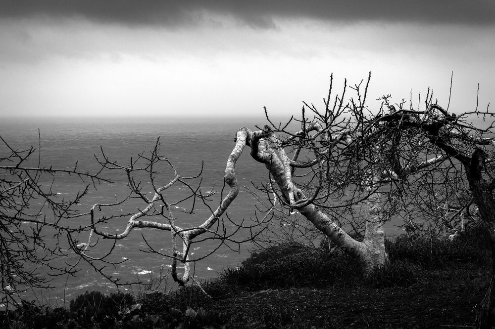 Photograph by Luigi Greco