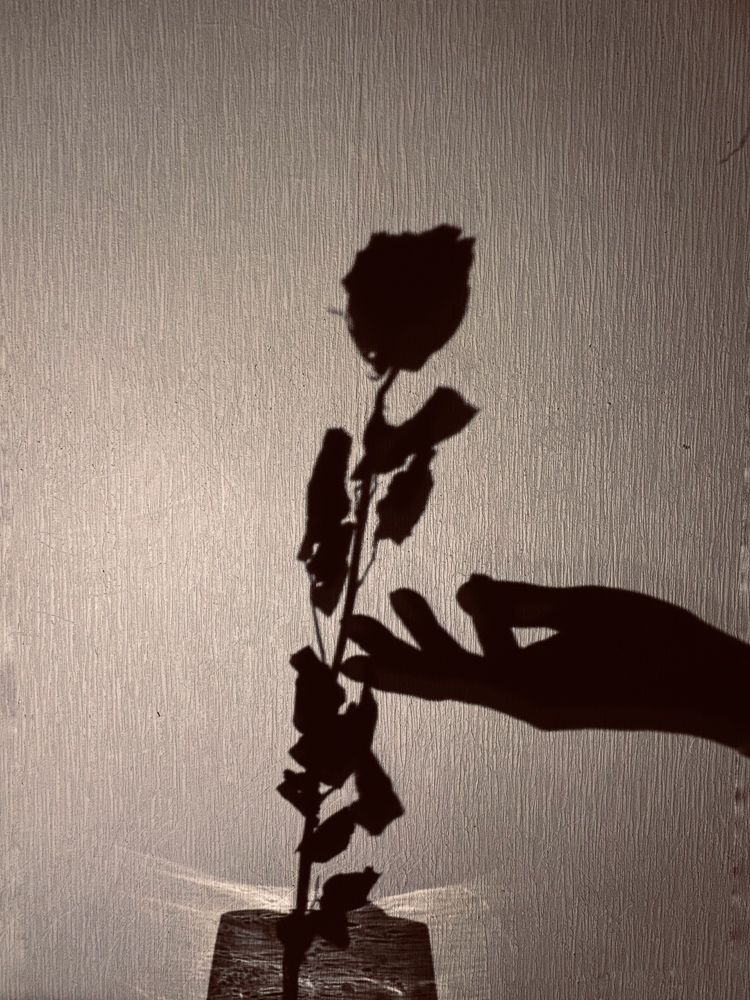 Фотография автора Лариса Гришкевич