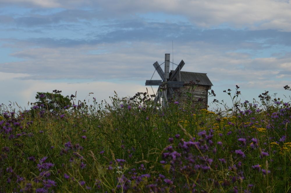 Photograph by Олеся Филиппова