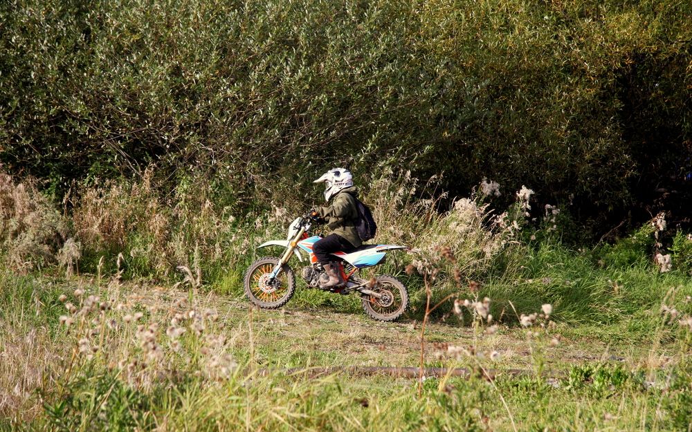 Фотография автора Nelya  Lysenko