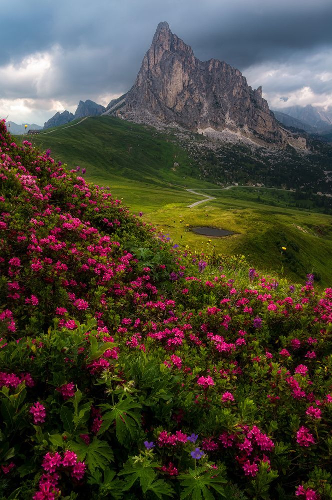 the garden of passo giau