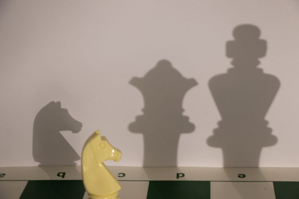 Photograph by Romina Moniri