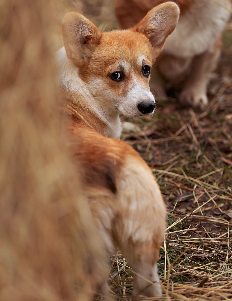 Photograph by Наталья Матюхина