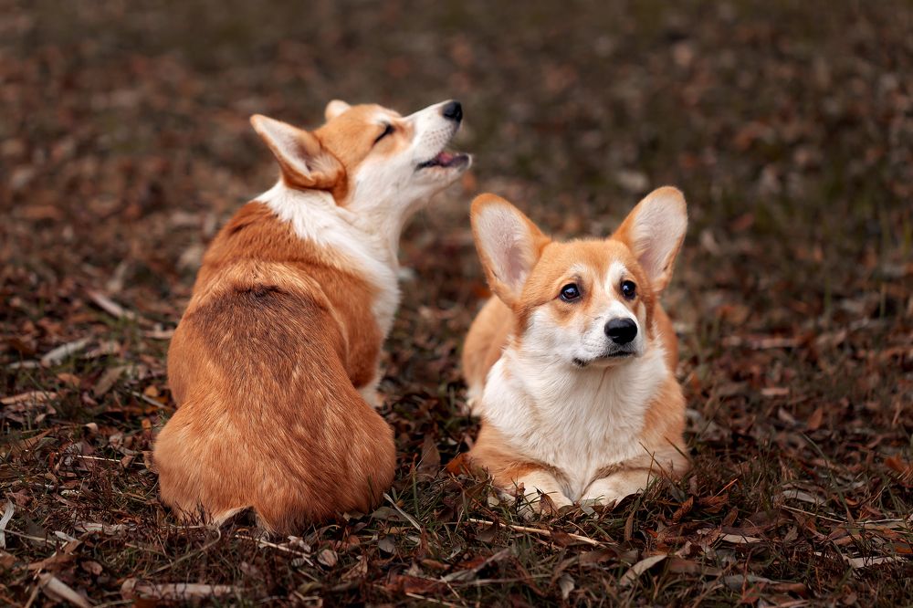 Photograph by Наталья Матюхина