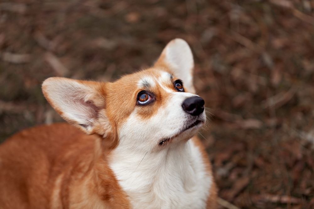 Photograph by Наталья Матюхина