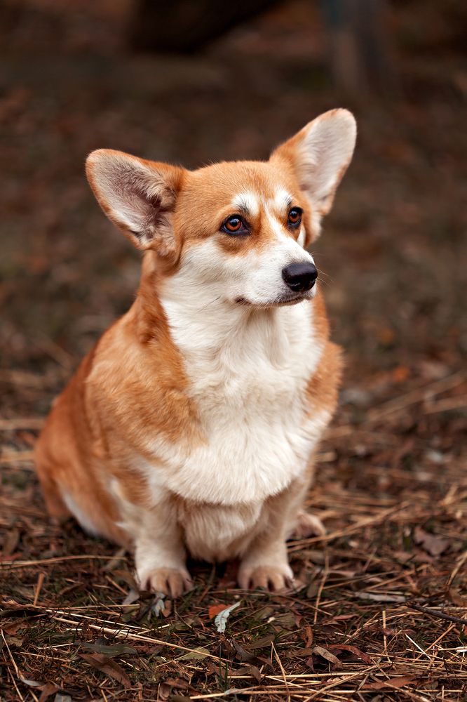 Photograph by Наталья Матюхина