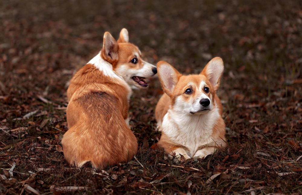 Photograph by Наталья Матюхина