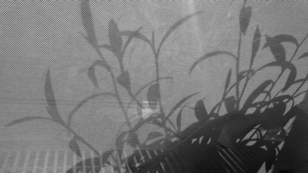 Фотография автора Elena Ku