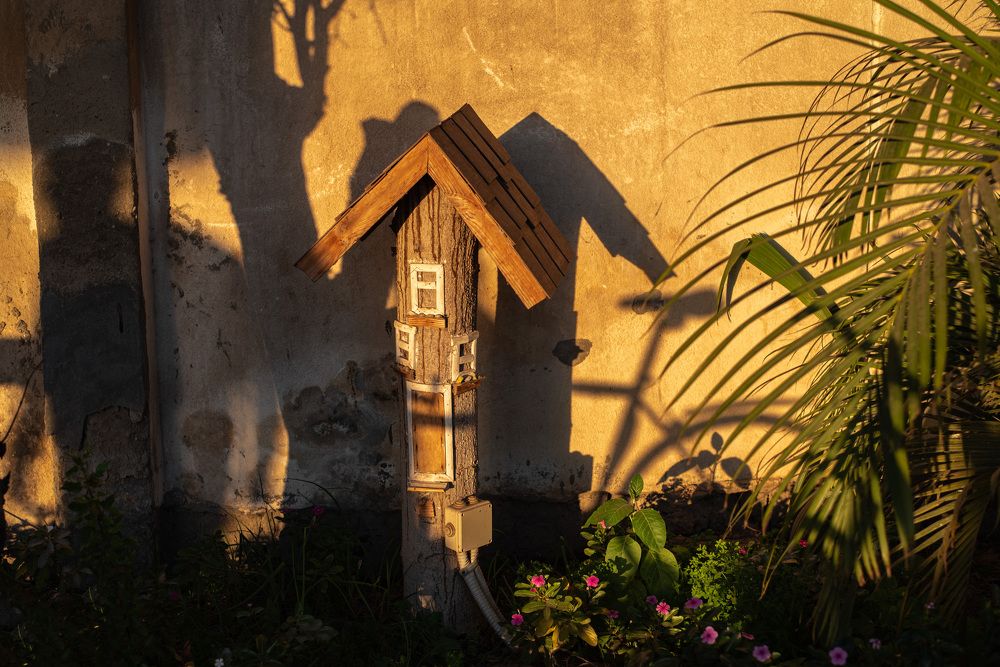 Photograph by Moataz Helmy