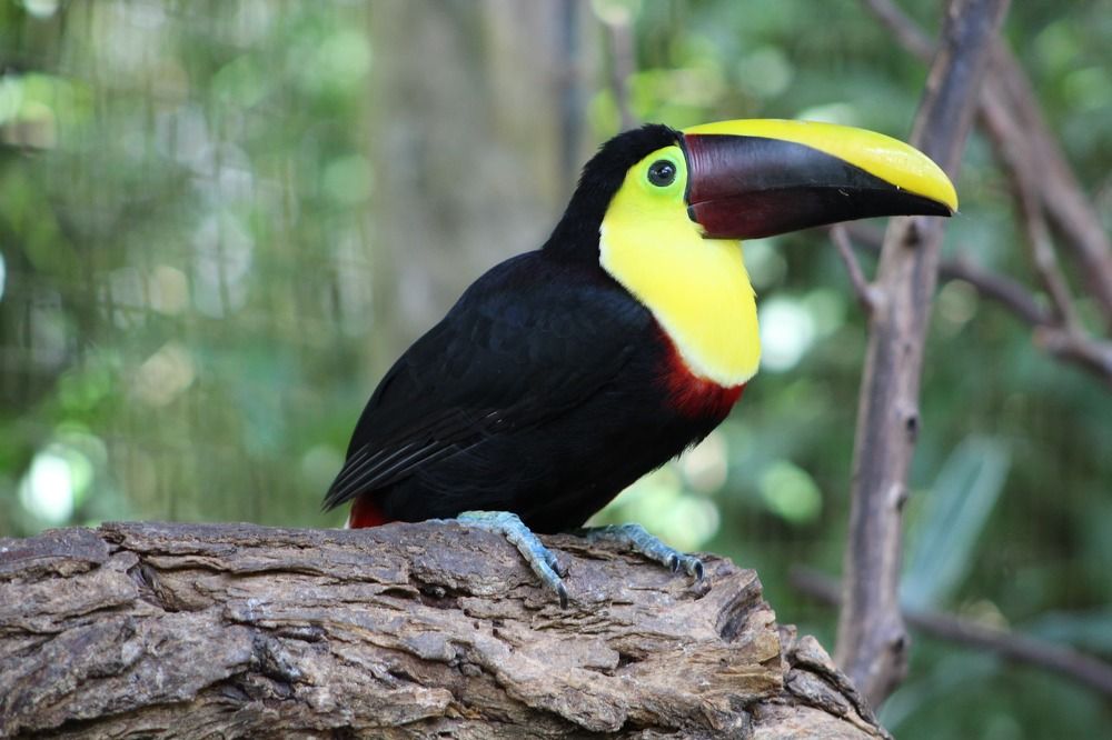 Photograph by Hazel Calvo