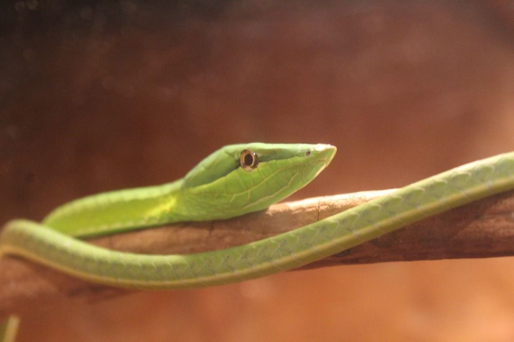 Photograph by Hazel Calvo