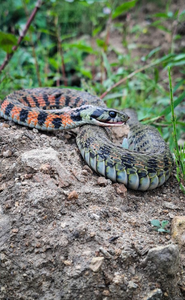 Photograph by Tatiana Kirillova