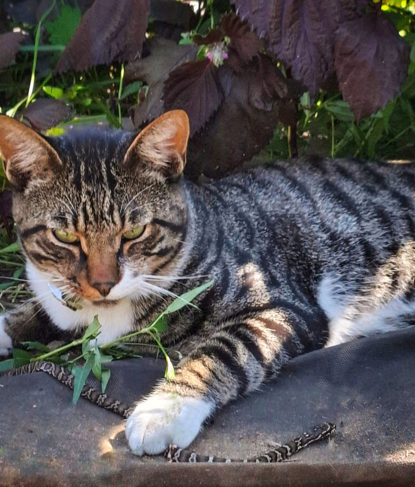 Photograph by Tatiana Kirillova