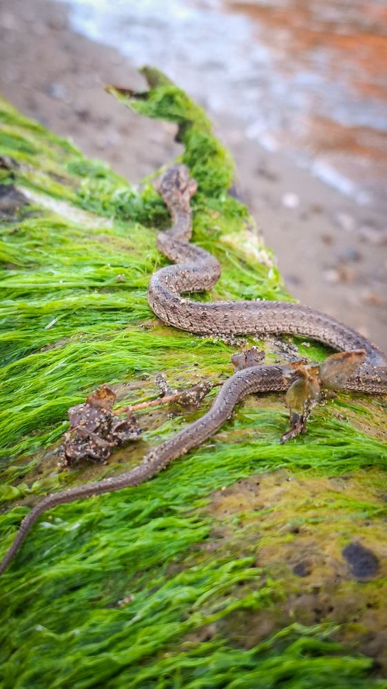 Photograph by Tatiana Kirillova