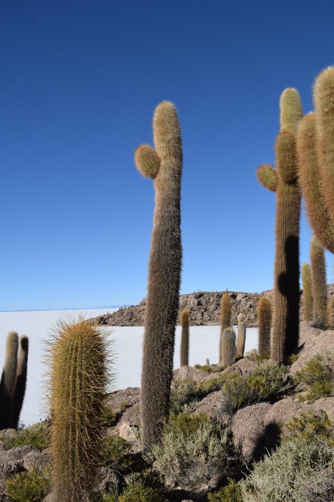 Photograph by Hazel Calvo