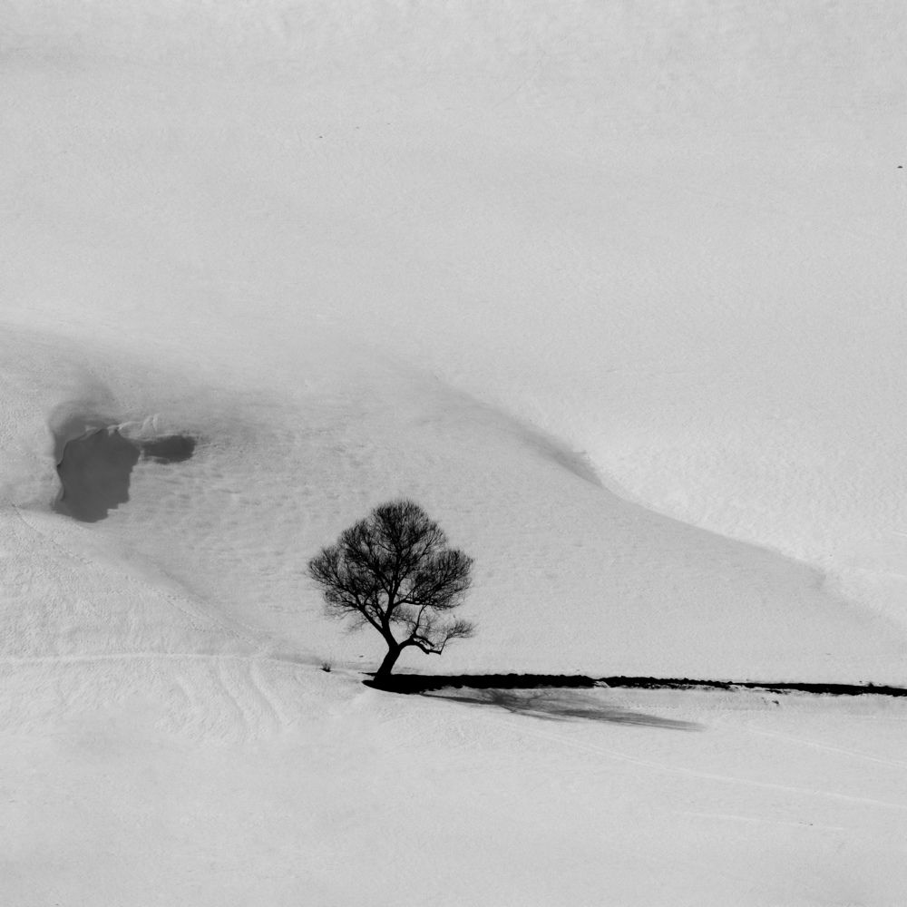 Фотография автора mohammad Alipour