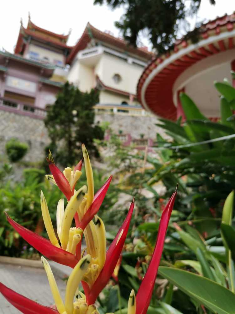 Photograph by Hazel Calvo