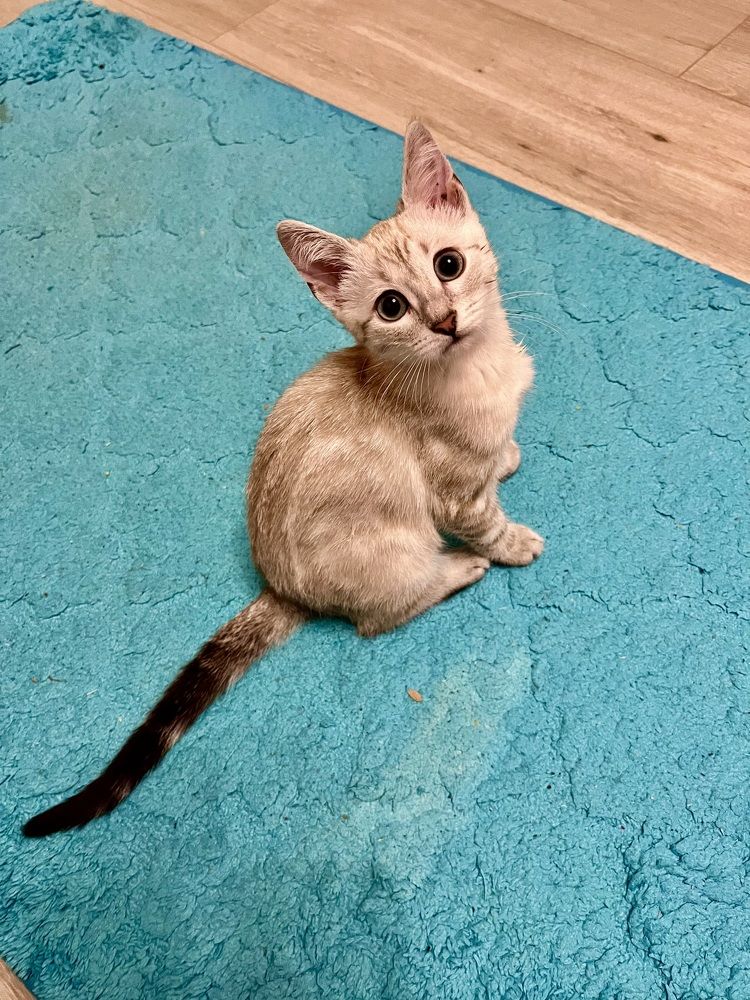 Photograph by Анна Закирова