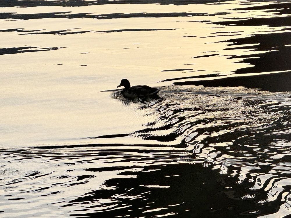 Photograph by Ольга Шабалина