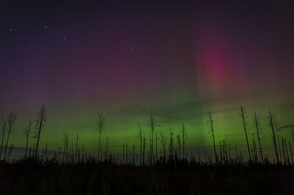 Photograph by косяк