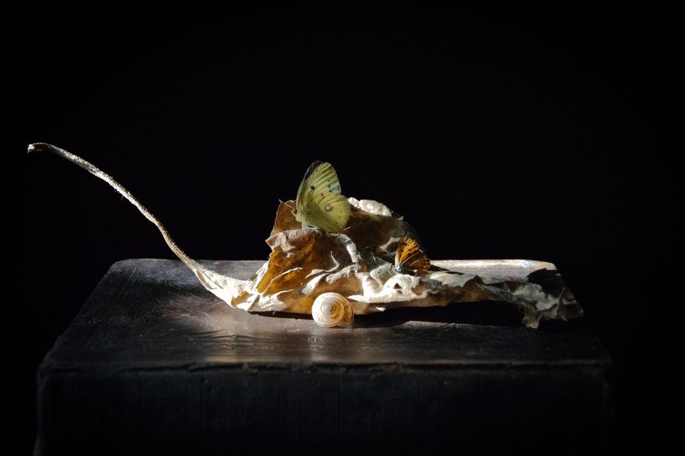 Photograph by Нина Любарская-Мерц