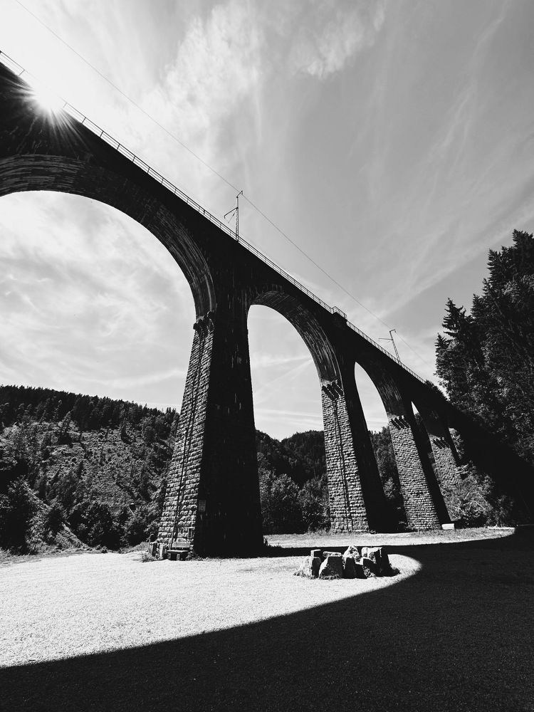 Photograph by daria eipert