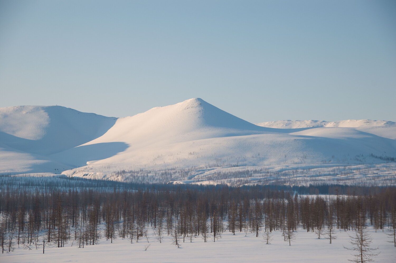 Photo #11044589