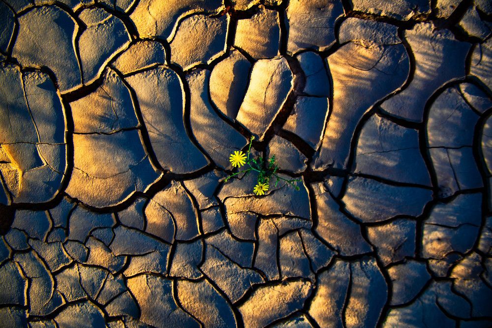 Photograph by Zubair Irshad