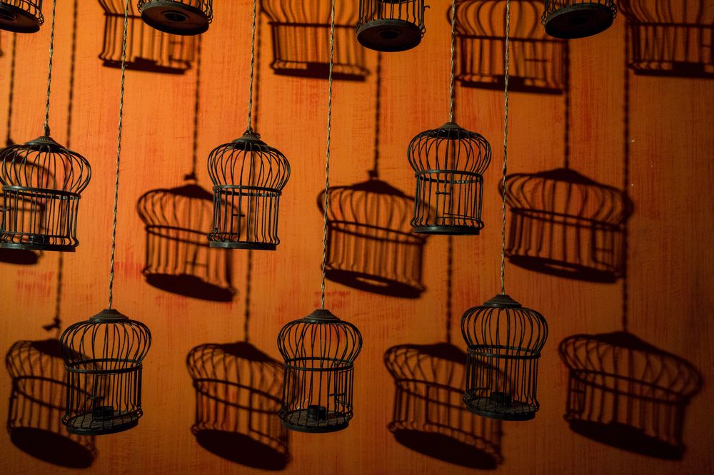 Photograph by ukeiro