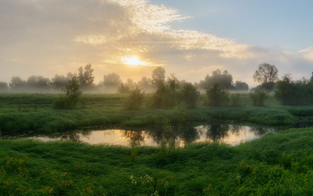 Photograph by Сергей Дишук