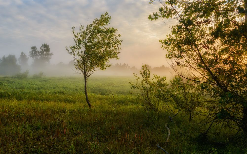 Photograph by Сергей Дишук