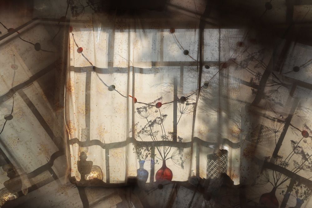 Утро на моём окне