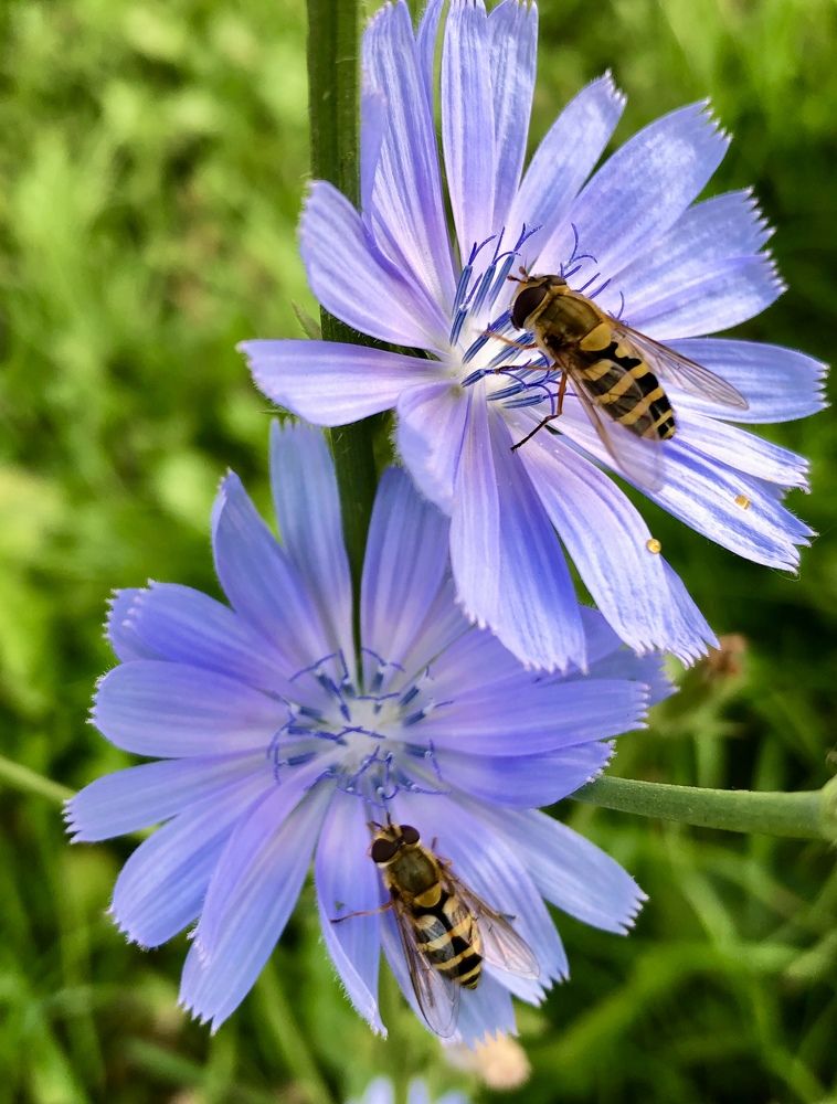 Photograph by Галина Пименова