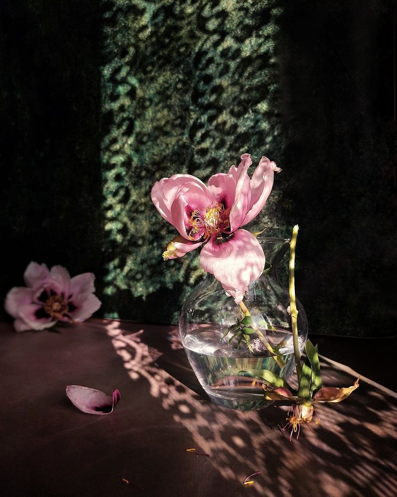 Фотография автора Инга Шевелёва