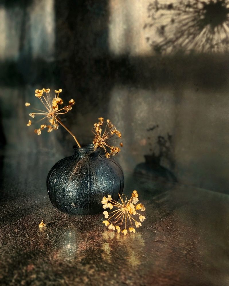 Фотография автора Инга Шевелёва