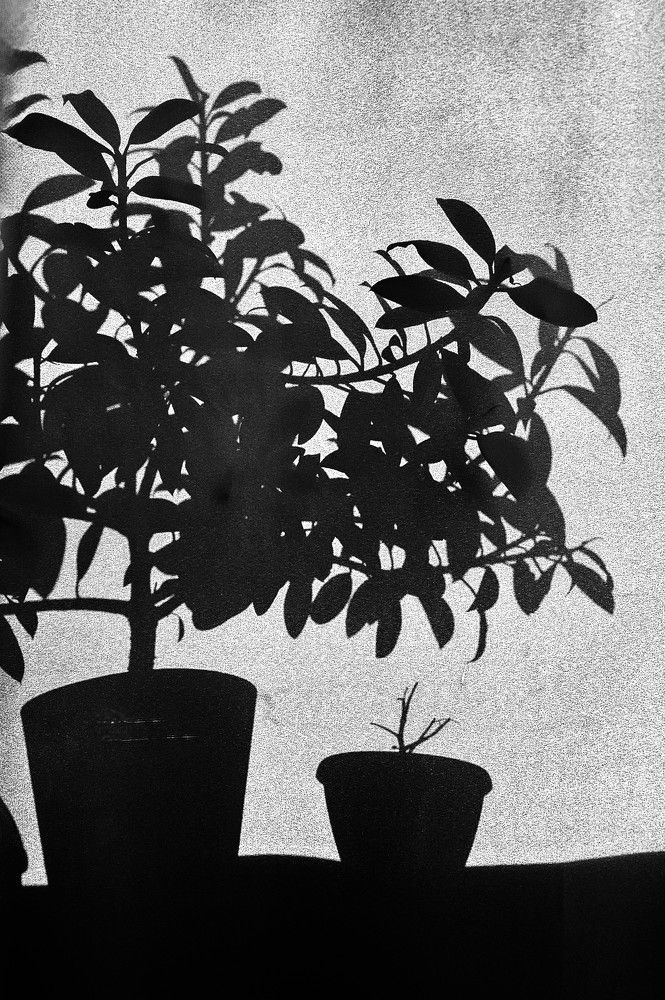 Фотография автора Максим Грибанов