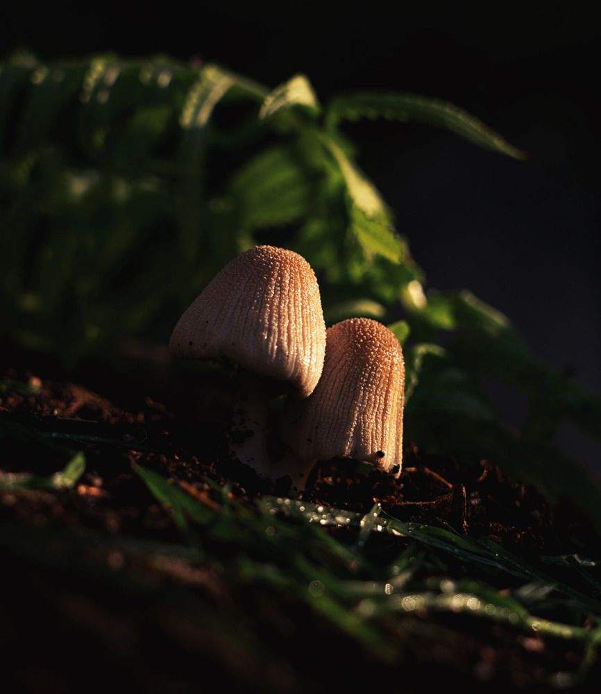 Photograph by Александрова Александра