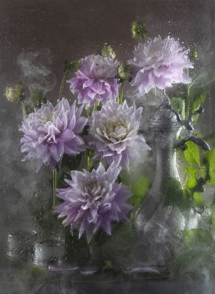 Photograph by Kostomarova Alla