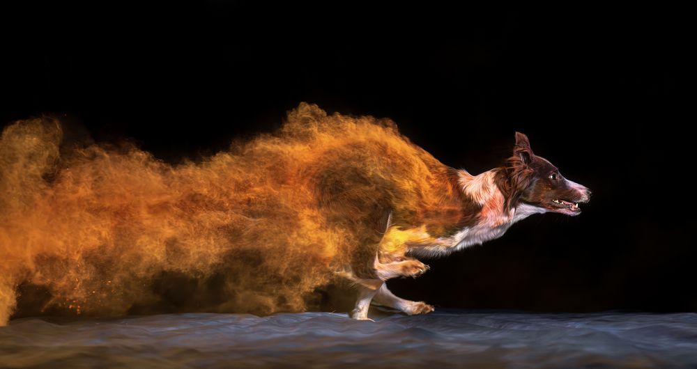 Photograph by Sara Jazbar