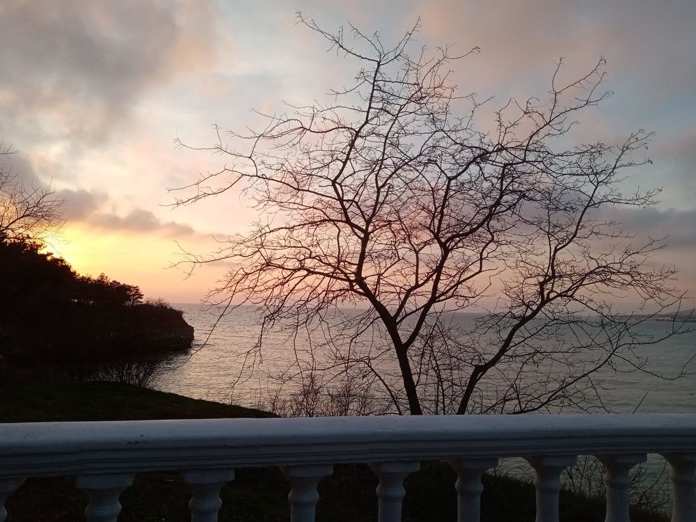 Photo #11044905