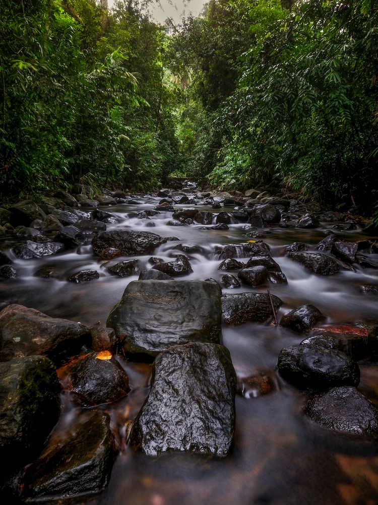 Photograph by M.Maleesha Sathsara Perera